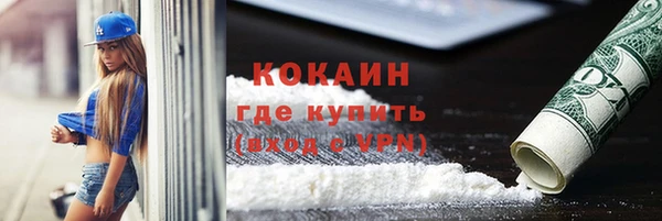 шишки Горно-Алтайск