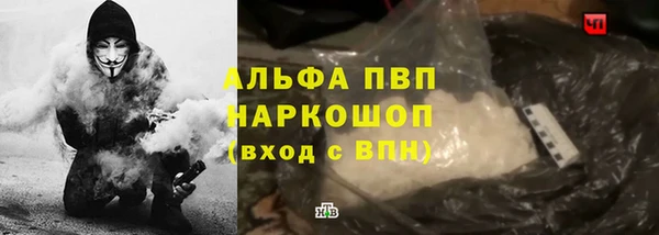 шишки Горно-Алтайск