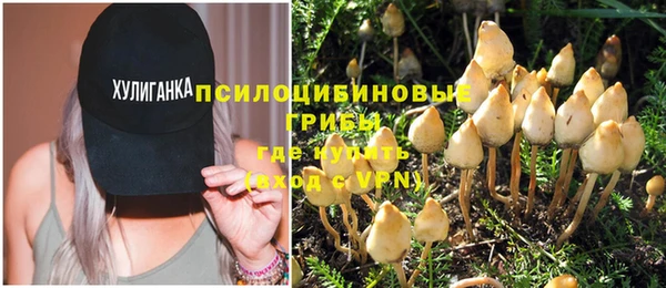 шишки Горно-Алтайск